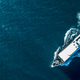 Image for article titled Copious booze blamed for cruise ship brawl that, for the record, did not involve clowns